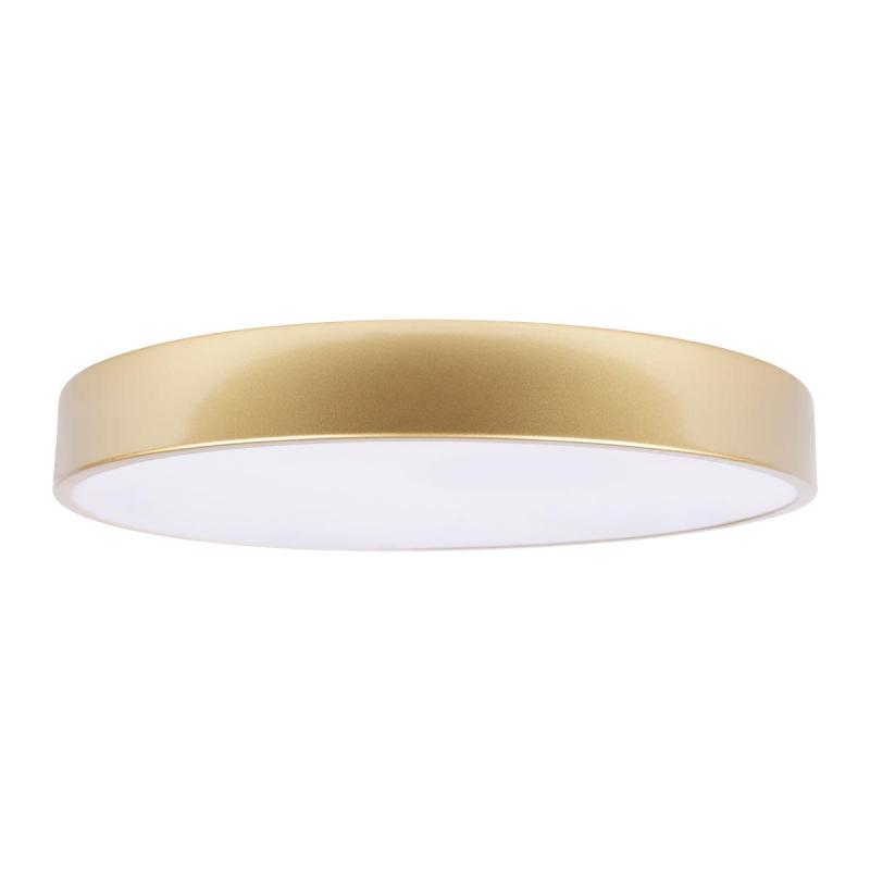 Потолочный светильник Loft IT Flims 10228/A